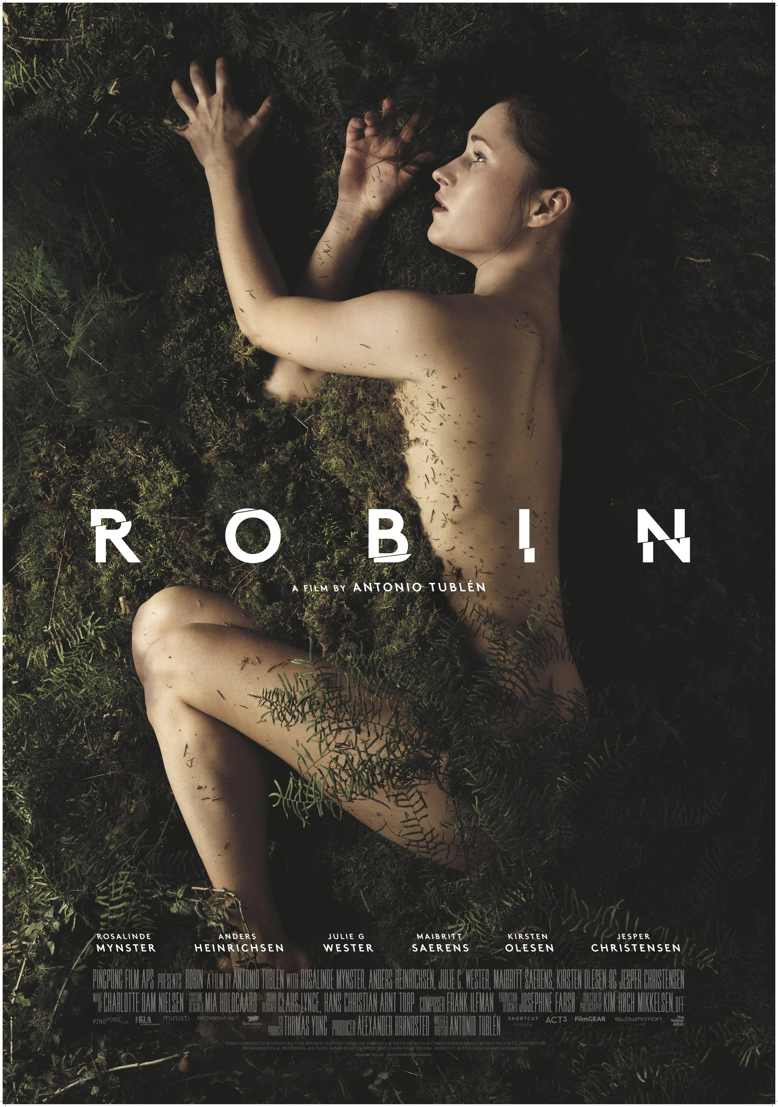 Robin_70x100_final.jpg