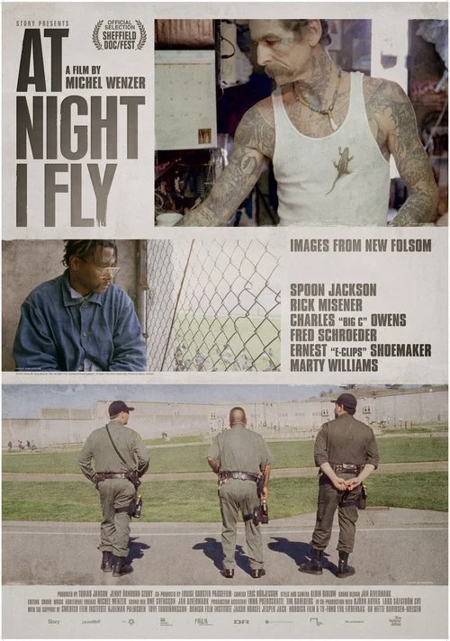 At Night I Fly Artwork.jpeg