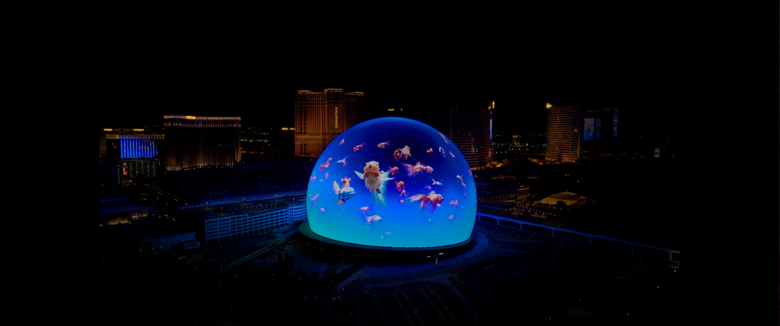 Screenshot 2024-05-20 at 11.49.08 AM.png