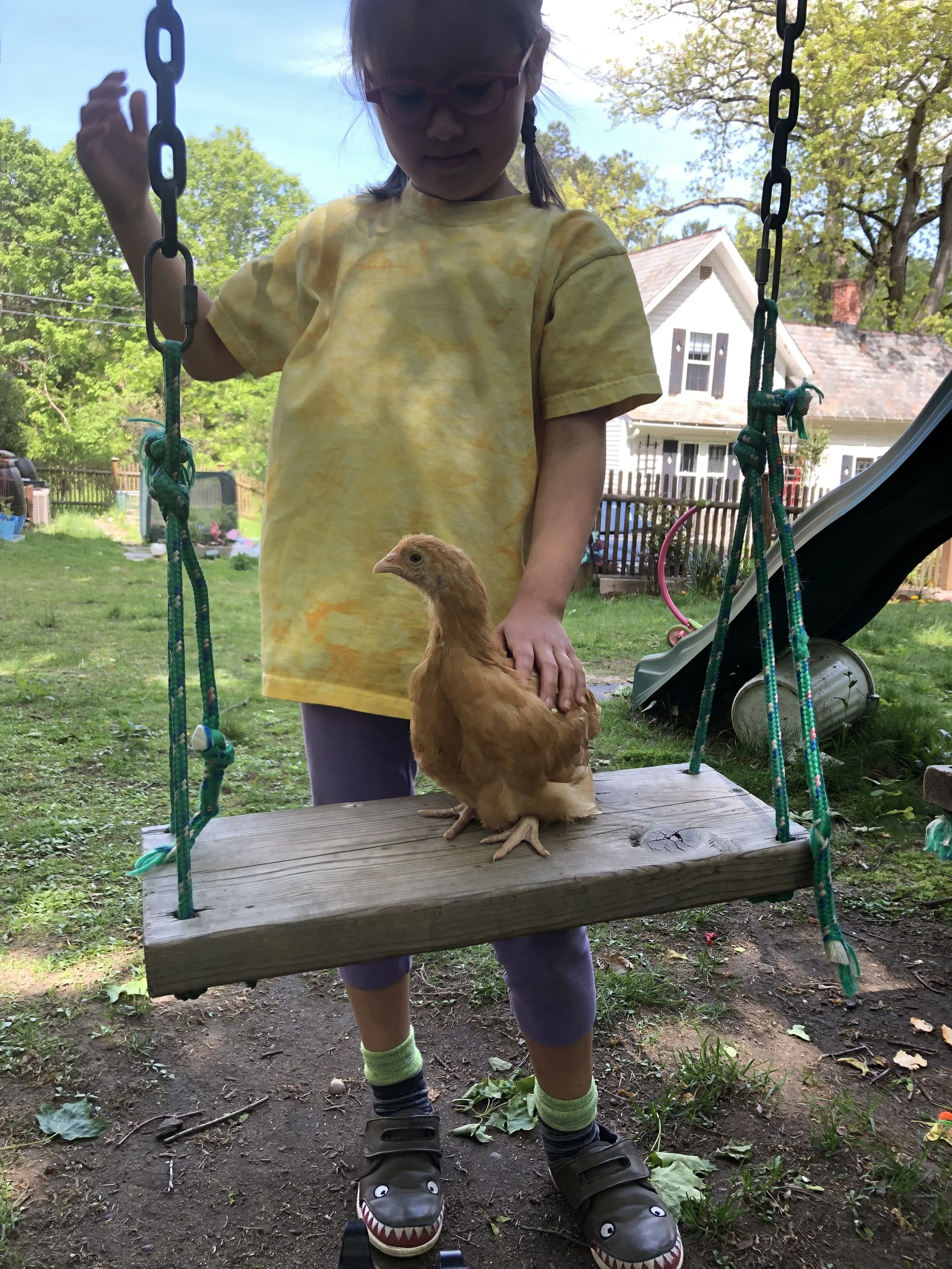 Episode 18: Chickens! And, secondary loss and BookExpo talk