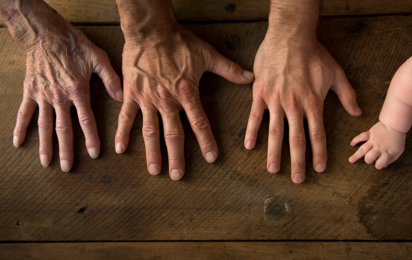 The Name by Jerry Hill