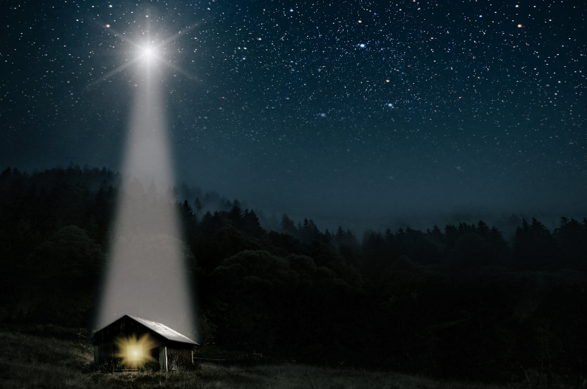 Life and Light by Diane Roberts