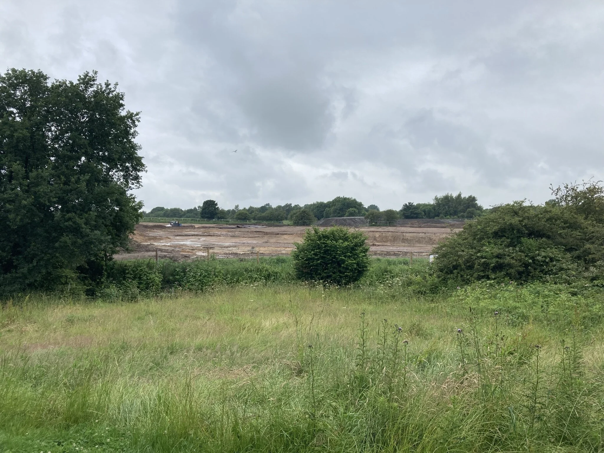 "Looking across the Belway development from the Fairways on a recent photo run. The birds are sat watching all the commotion wondering what's going on." (Image and words: Marge)