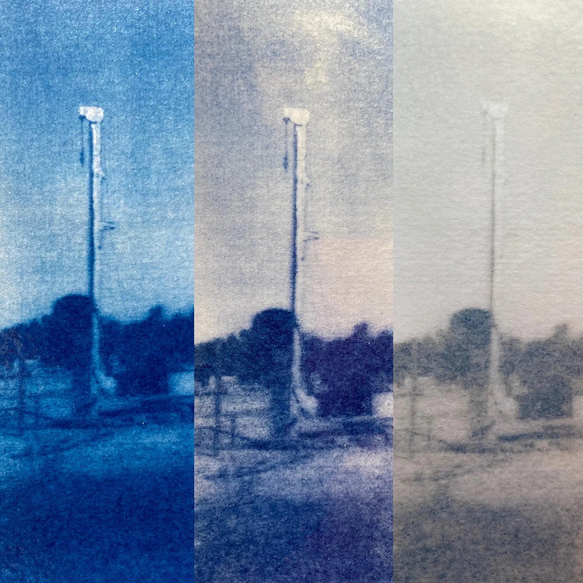 Cyanotype experiments by Marge.