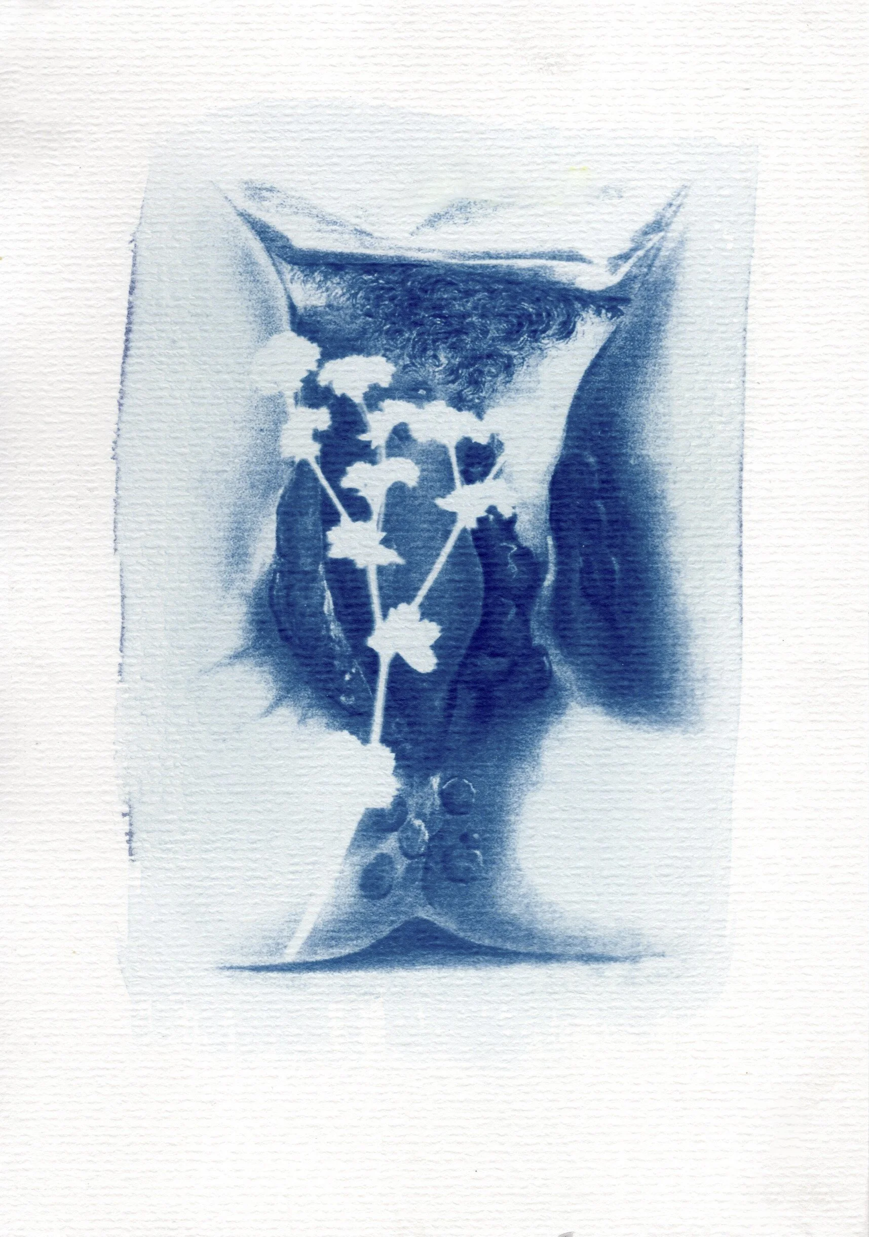 Cyanotype by Sarah Martin