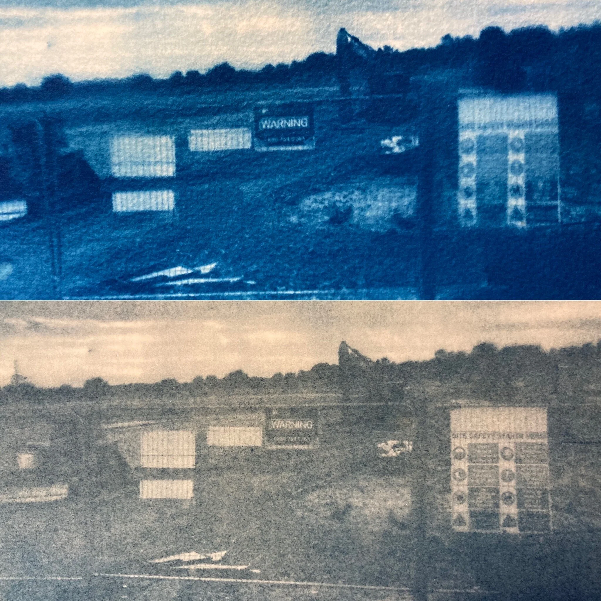 Cyanotype experiments by Marge.