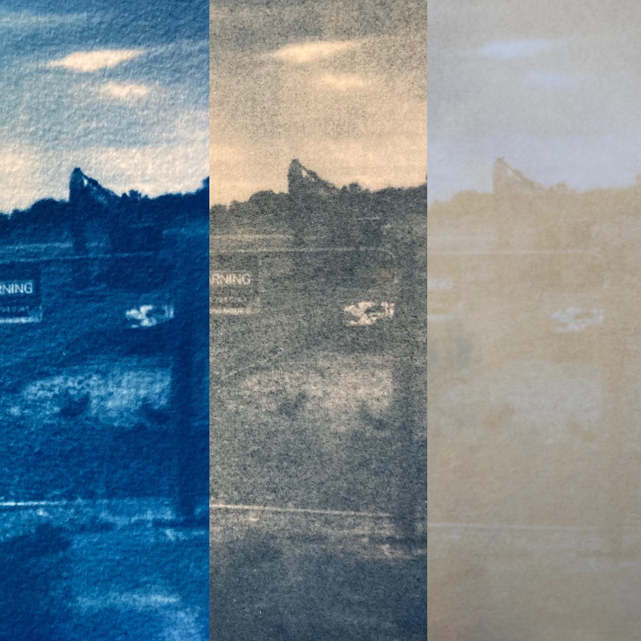 Cyanotype experiments by Marge.