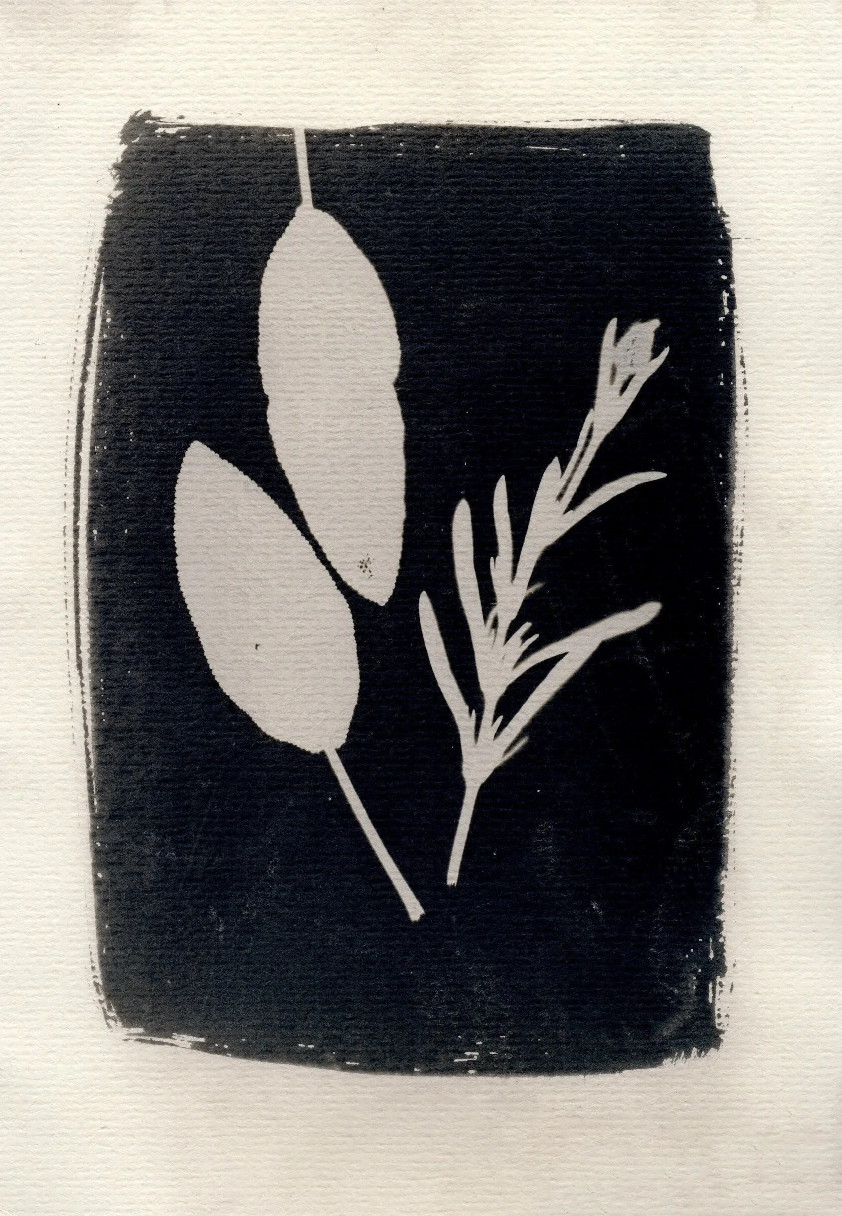 Toned cyanotype by Anna Sansom