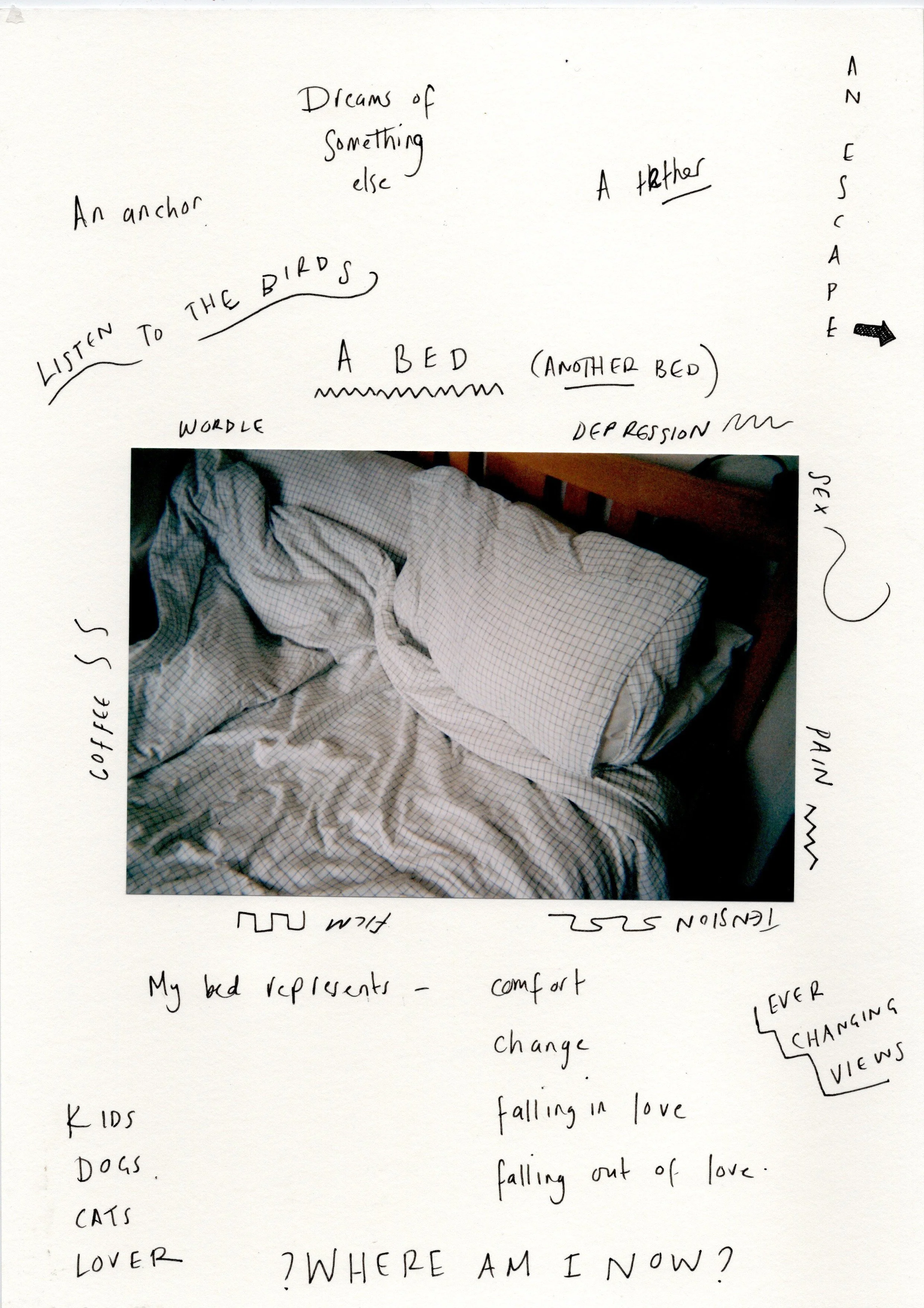 Annotated photograph by Kate Hardy
