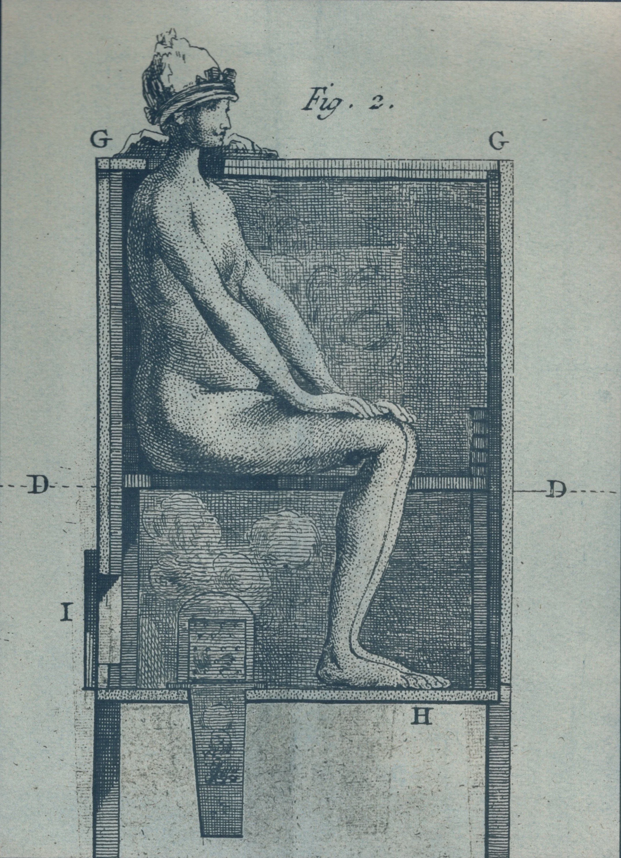 toned in camomile.jpg