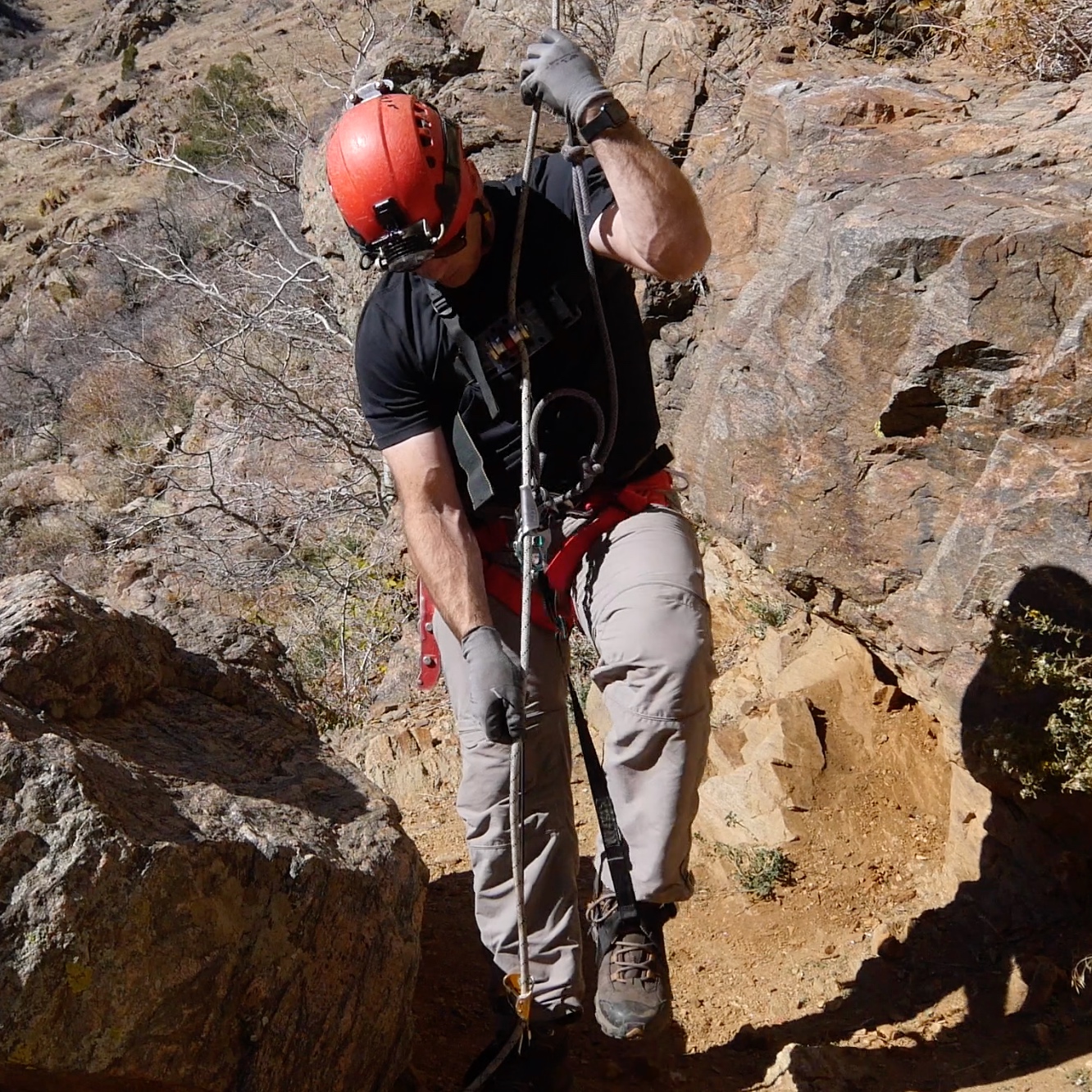 Ropewalker.jpg