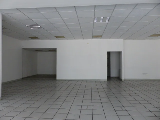 L1100407.JPG