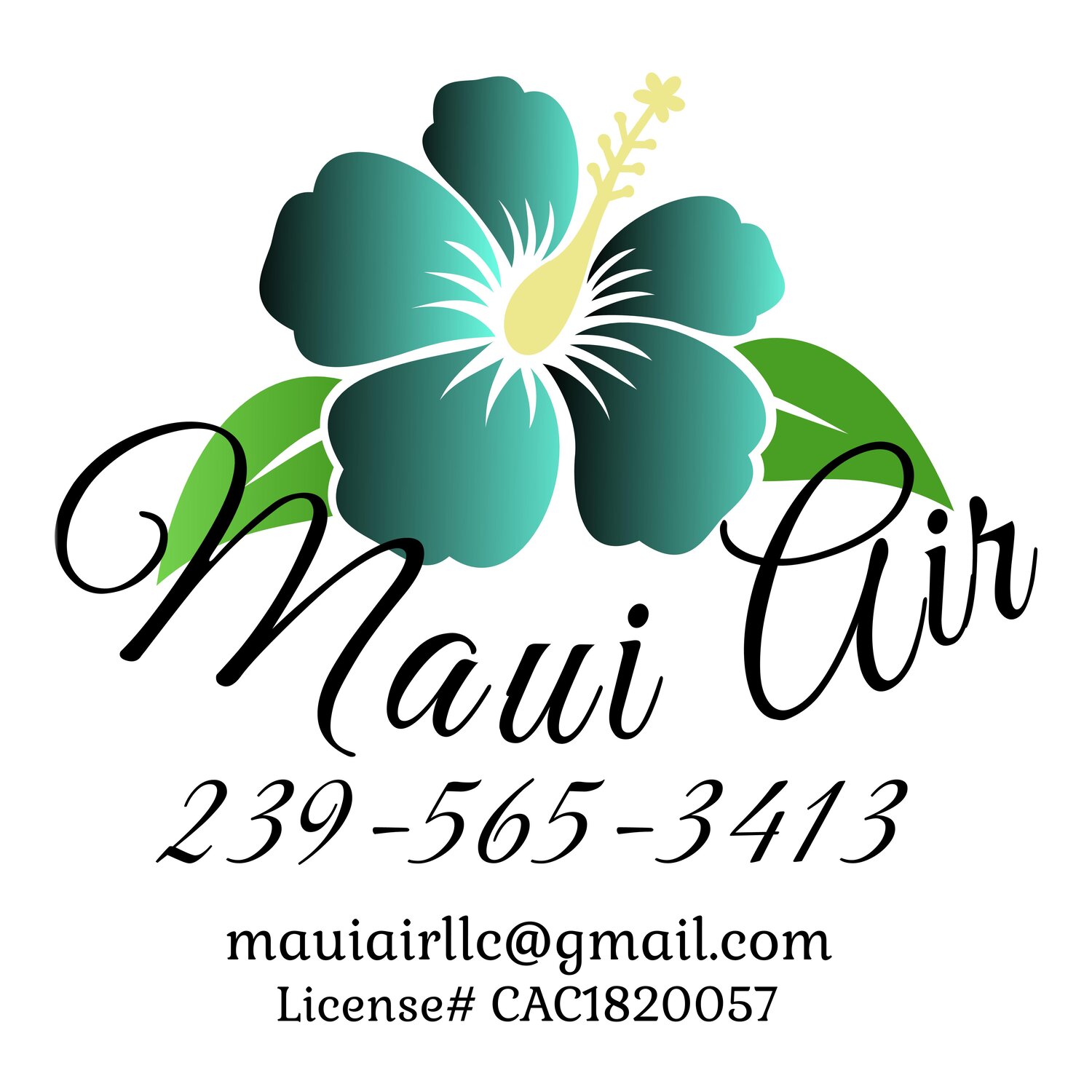 Maui Air LLC