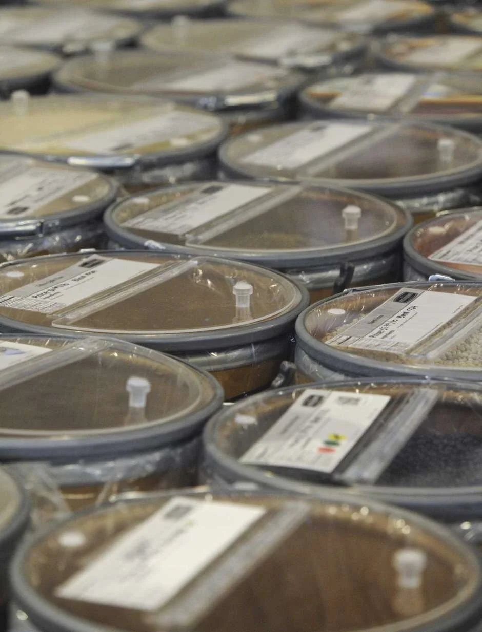 Bulk food ‘treasure hunt’ expands to New Milford, 100 more in line