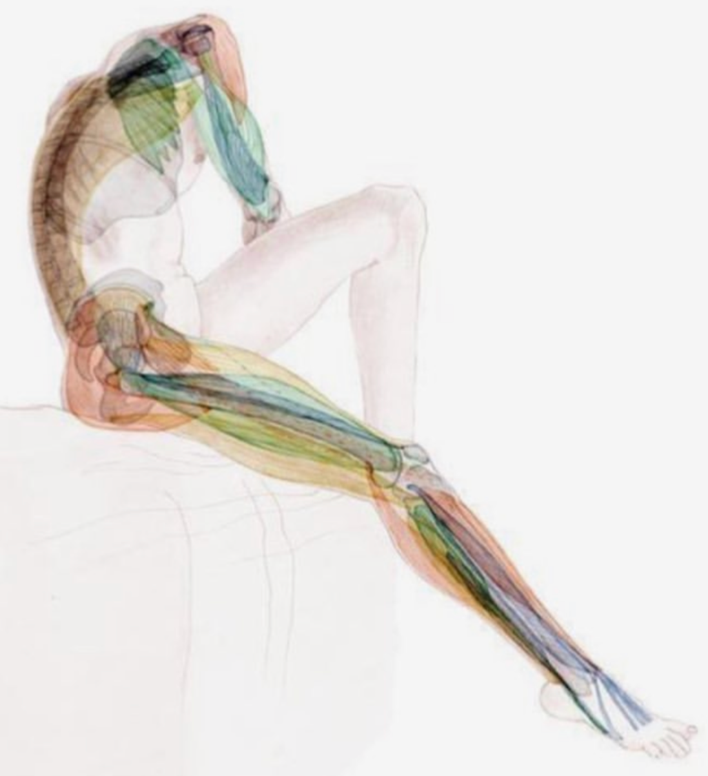 Registered Massage Therapy - A Clinical Approach To Care