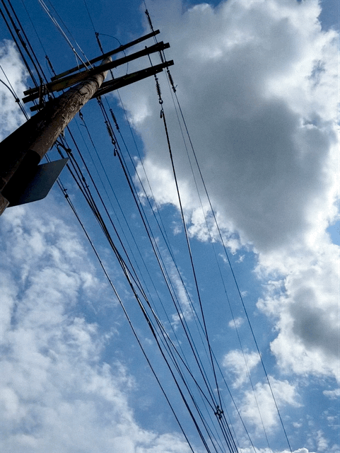 20230917 IMG 1962 169 aasda