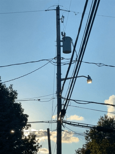 20220909_IMG_2597.gif