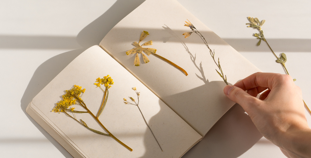 art library idea post photo (13).png
