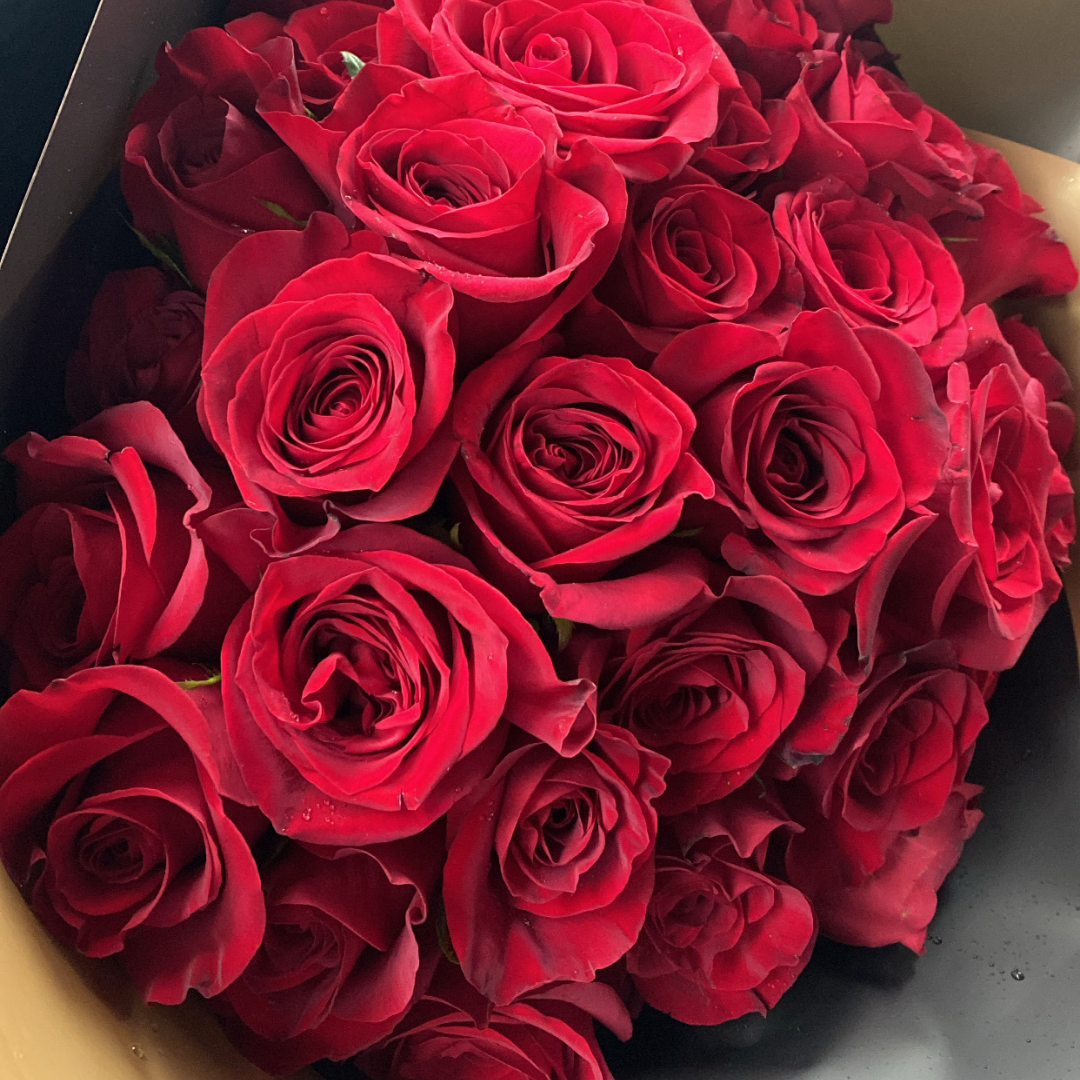 100 Roses