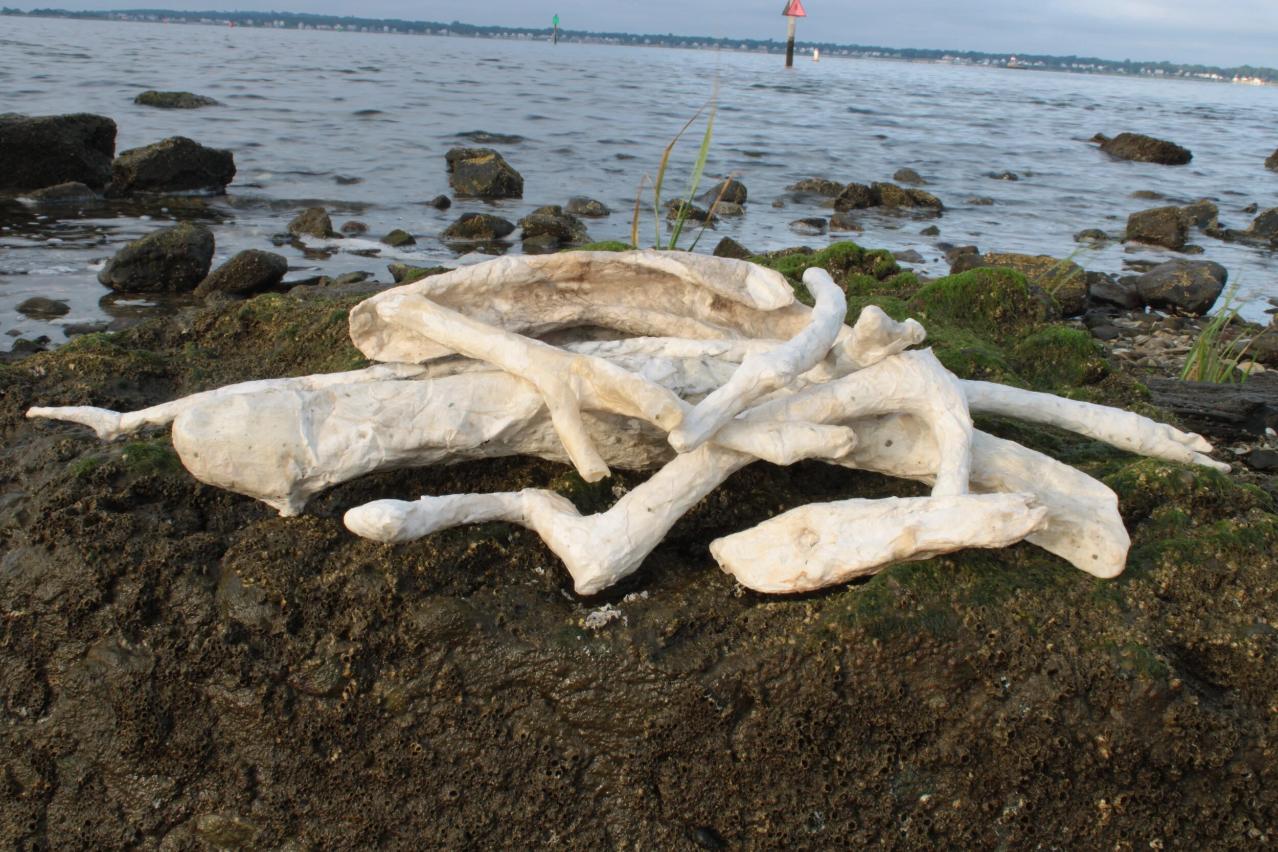 Found Objects Returned to the Bay