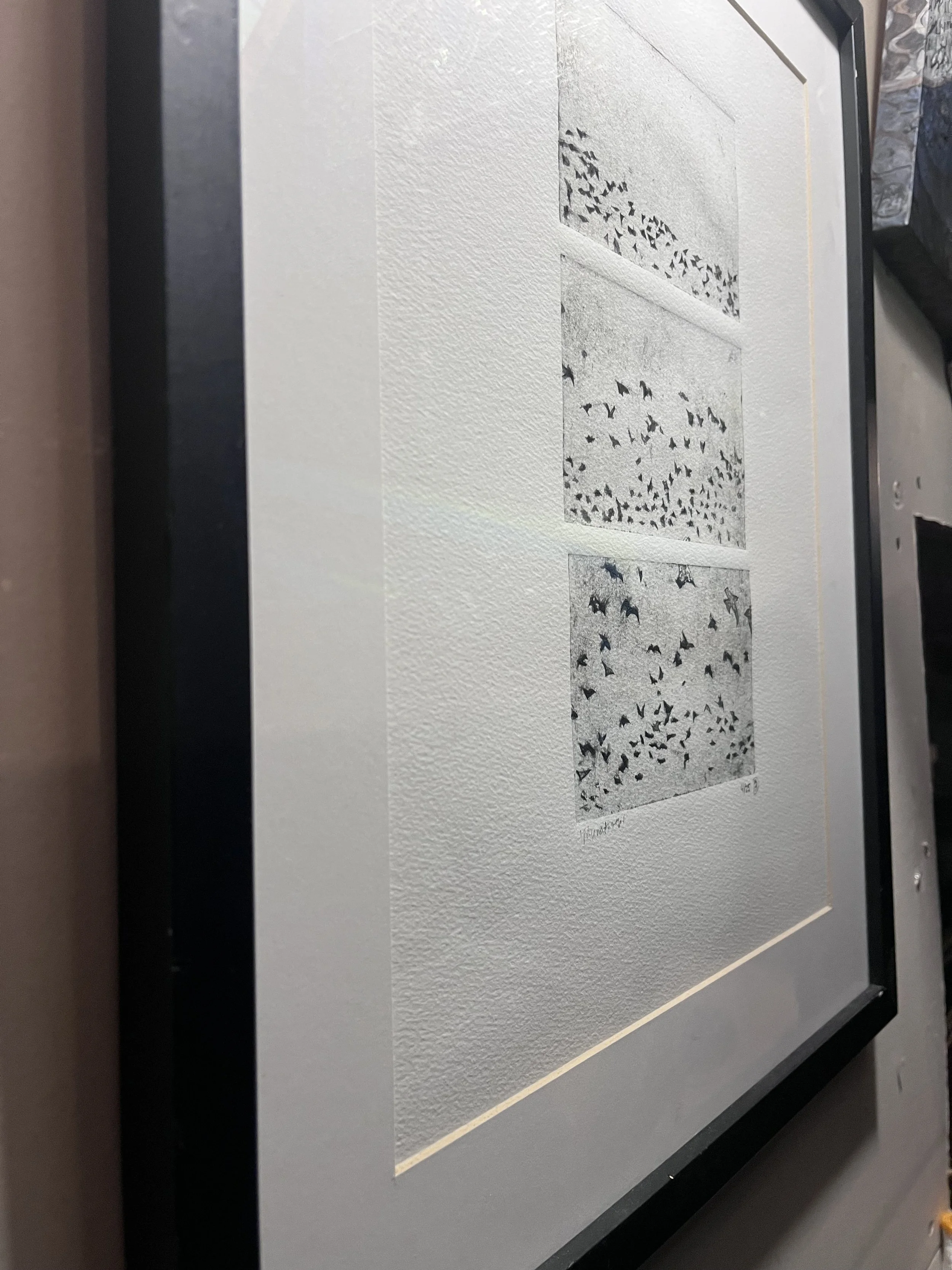 Murmuration.jpeg