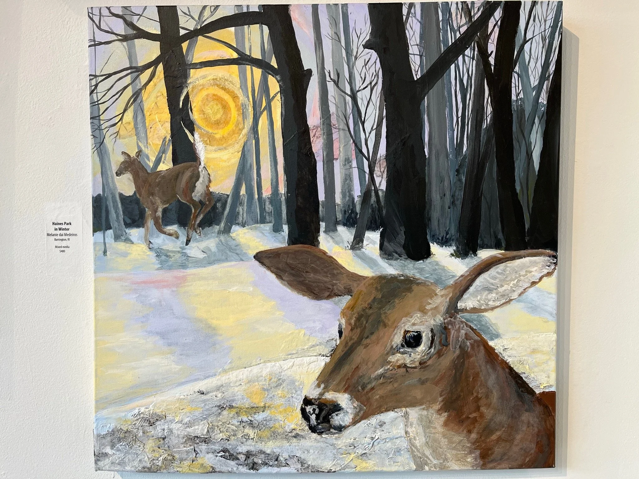Printable Haines Park in Winter_2023 copy.jpeg