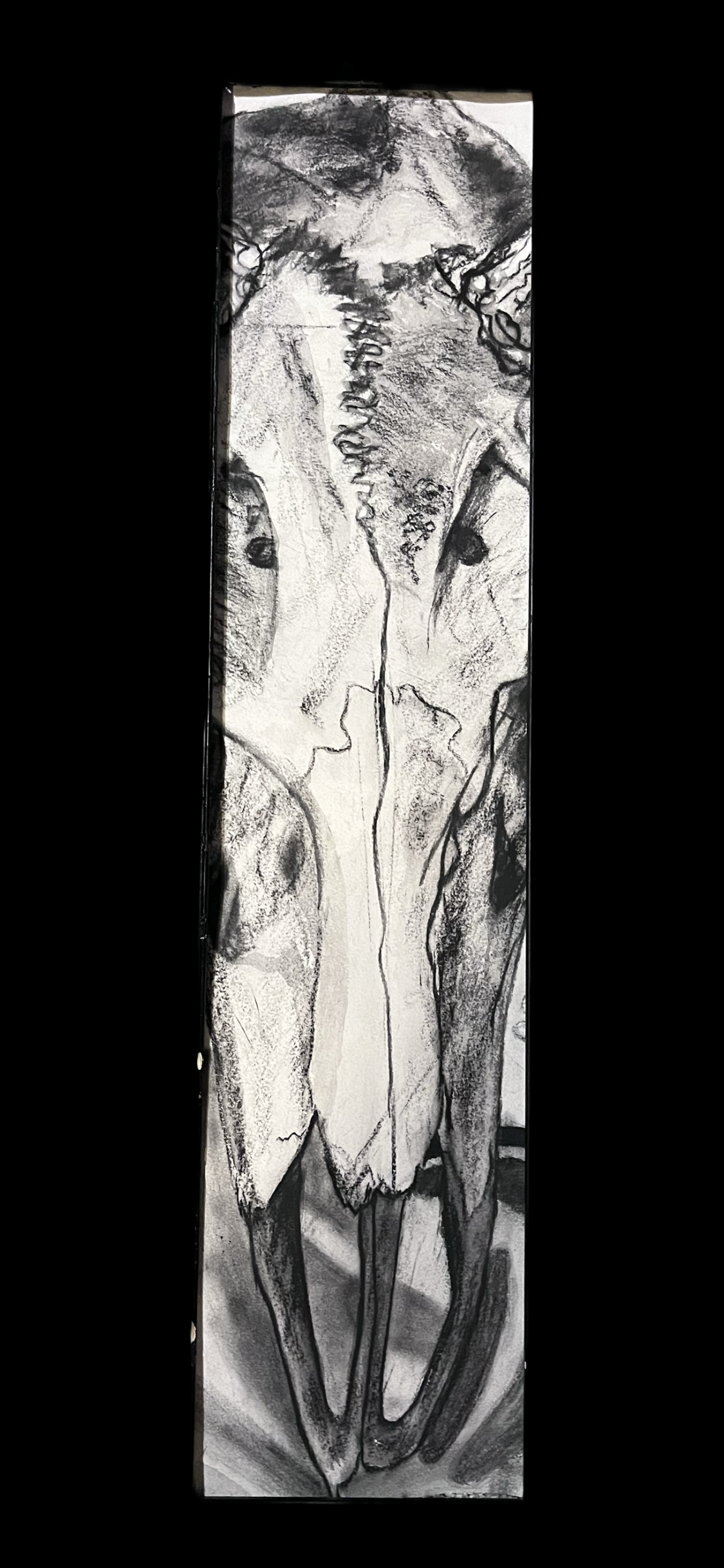 Deer Skull.PNG
