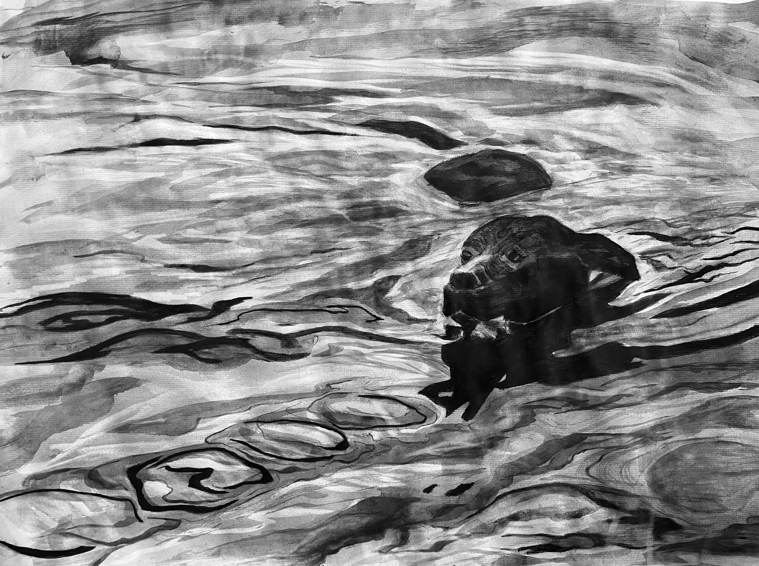 MEDEIROS_Melanie dai_Sea Dog_charcoal_18x24_2023.jpeg