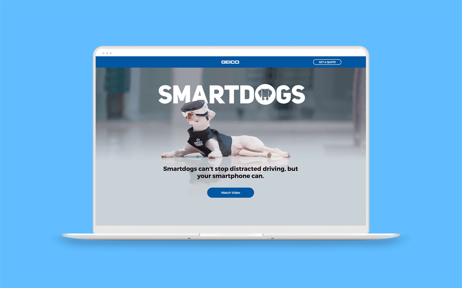 smartdogs-header_gif.gif