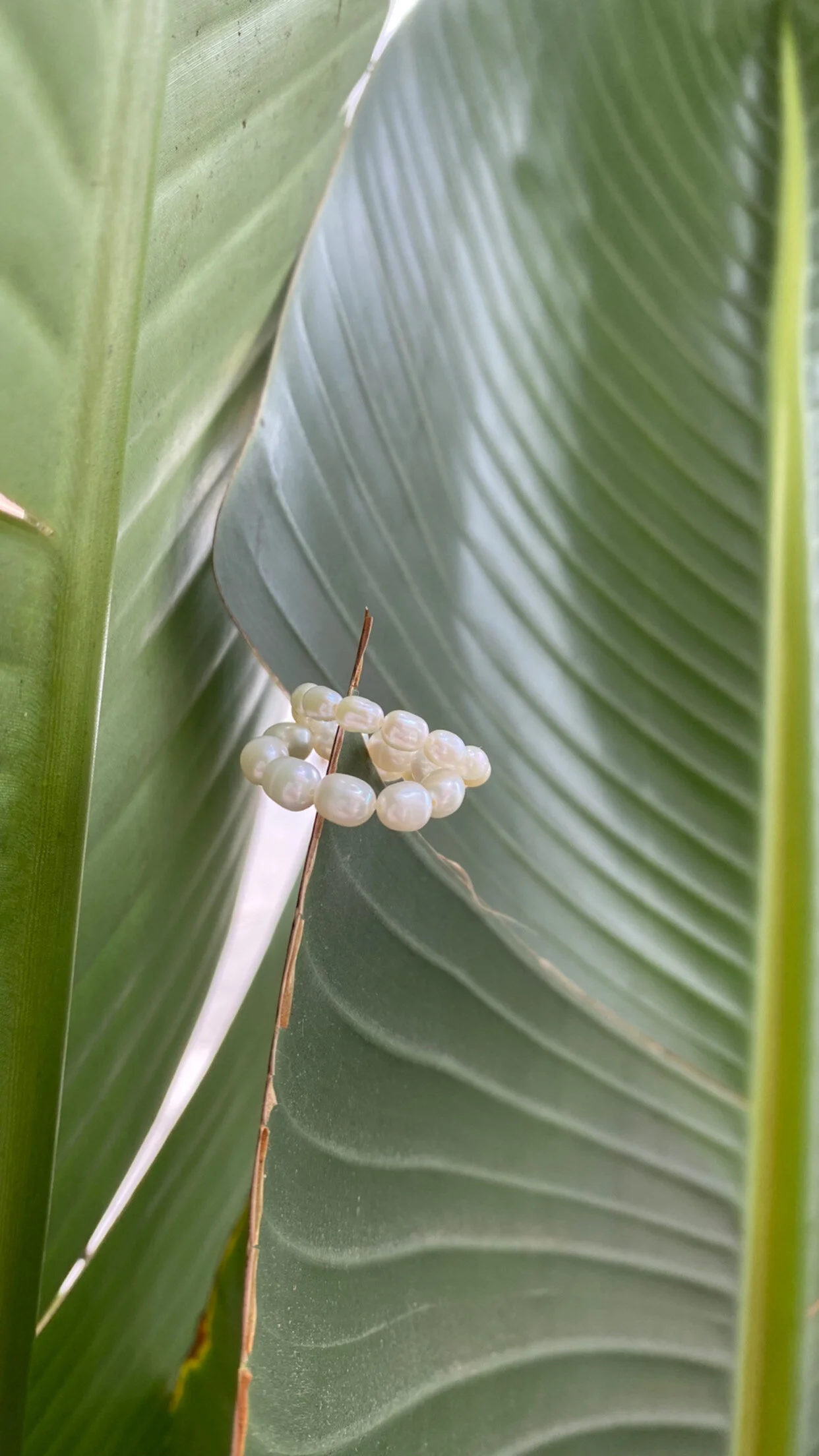 8416AEF8-F1B0-4BA5-B4D0-99EE69128370