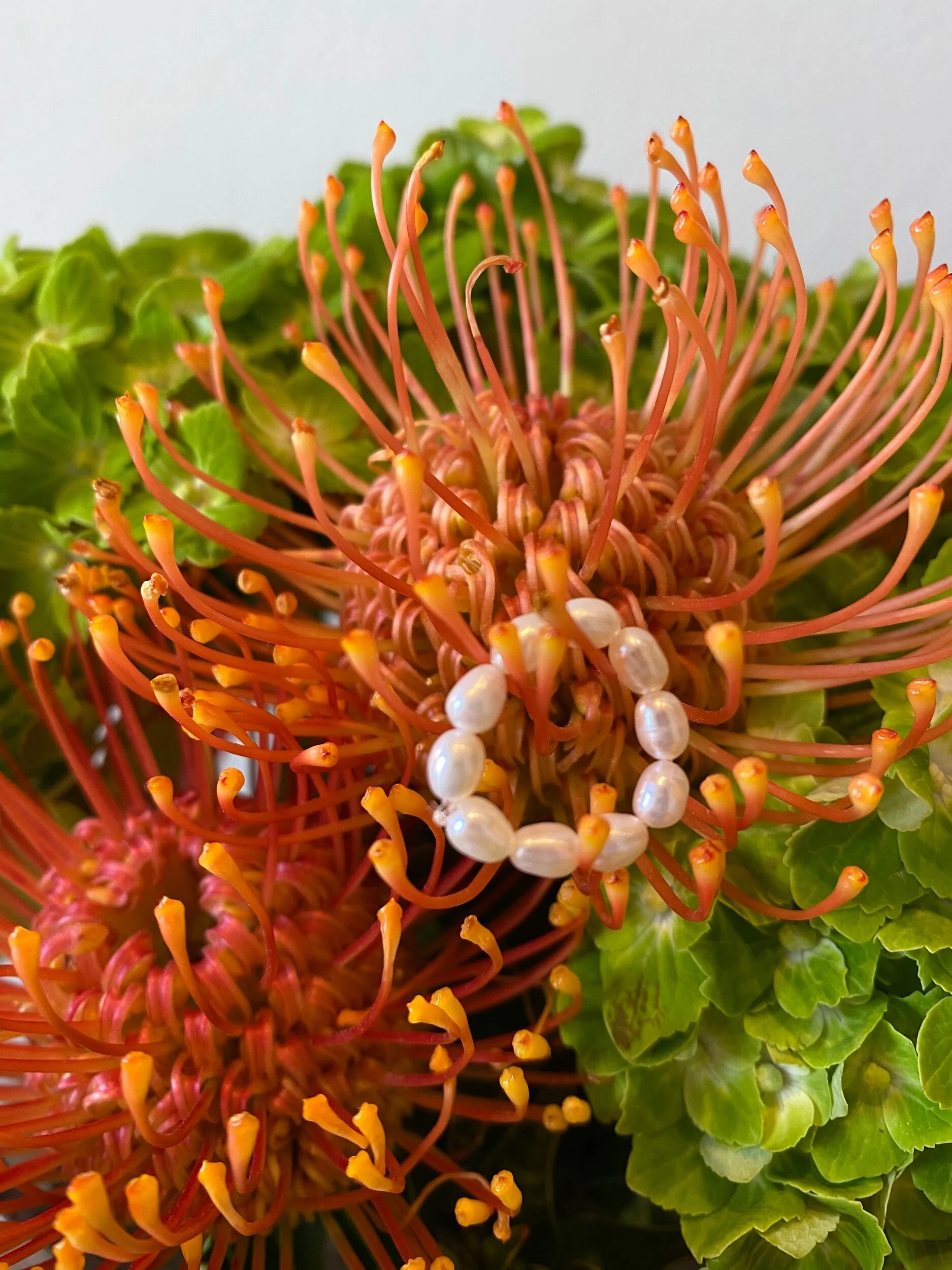 5BFC7564-6EEF-45D3-BDE8-683281387FAE