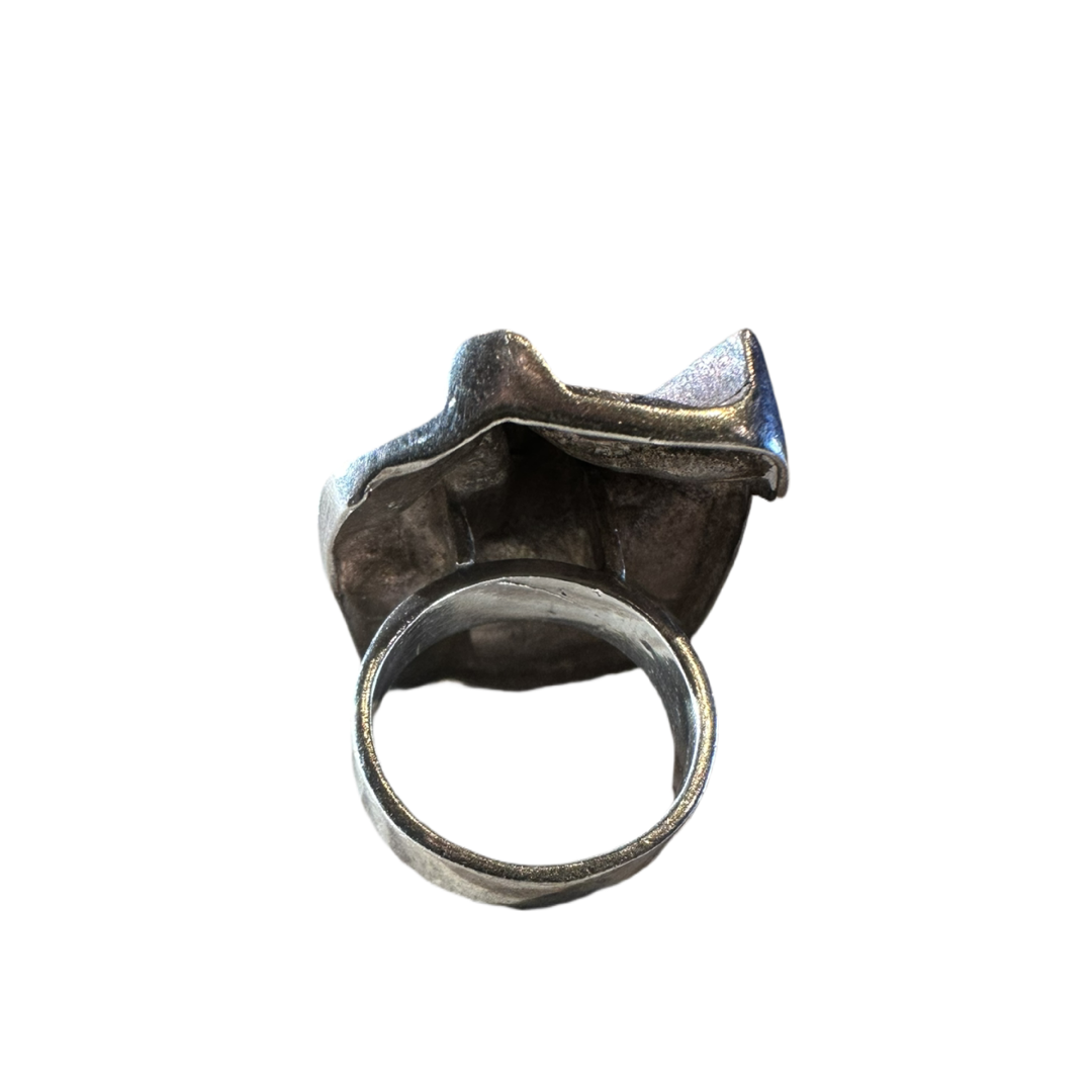 0CBE333B-7C3C-40C9-A271-1BDF993DB065.png