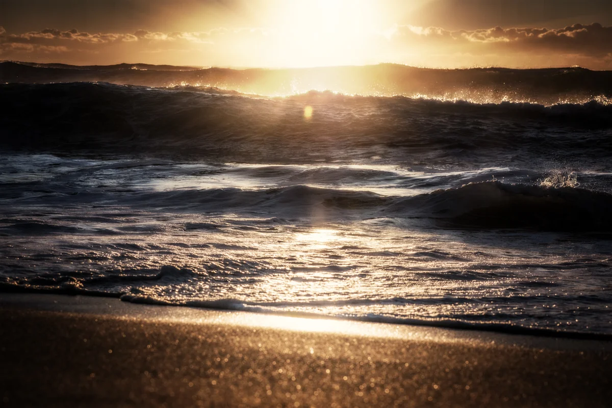 Swell Web images-1.jpg