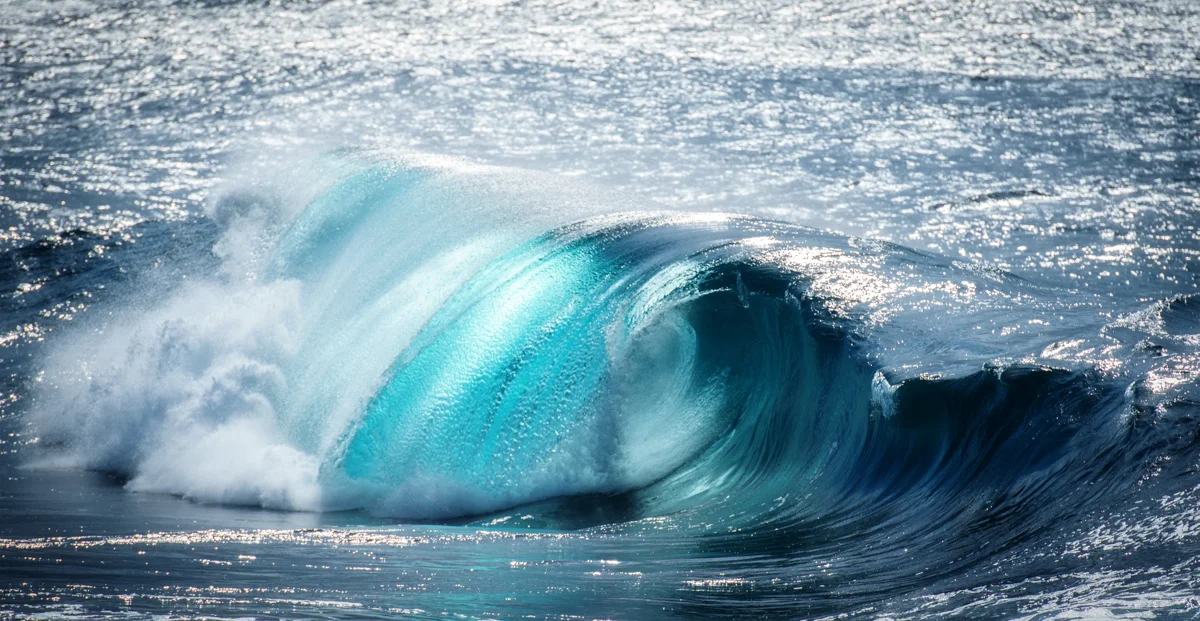 Swell Web images-3.jpg