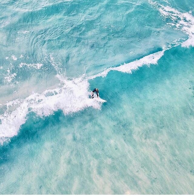 What a weekend! ⠀⠀⠀⠀⠀⠀⠀⠀⠀
Water is warm enough to swim🌊⠀⠀⠀⠀⠀⠀⠀⠀⠀
So nice to see every one out again enjoying our beautiful coast. ⠀⠀⠀⠀⠀⠀⠀⠀⠀
.⠀⠀⠀⠀⠀⠀⠀⠀⠀
.⠀⠀⠀⠀⠀⠀⠀⠀⠀
📸 #travistyy #repost⠀⠀⠀⠀⠀⠀⠀⠀⠀
.⠀⠀⠀⠀⠀⠀⠀⠀⠀
#gerringong⠀⠀⠀⠀⠀⠀⠀⠀⠀ #stayatswell #southcoast