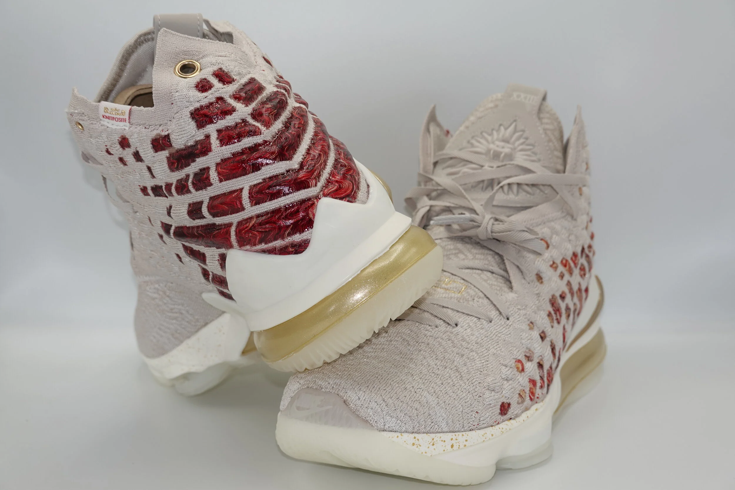 LeBron 17 Harlem Fashion Row