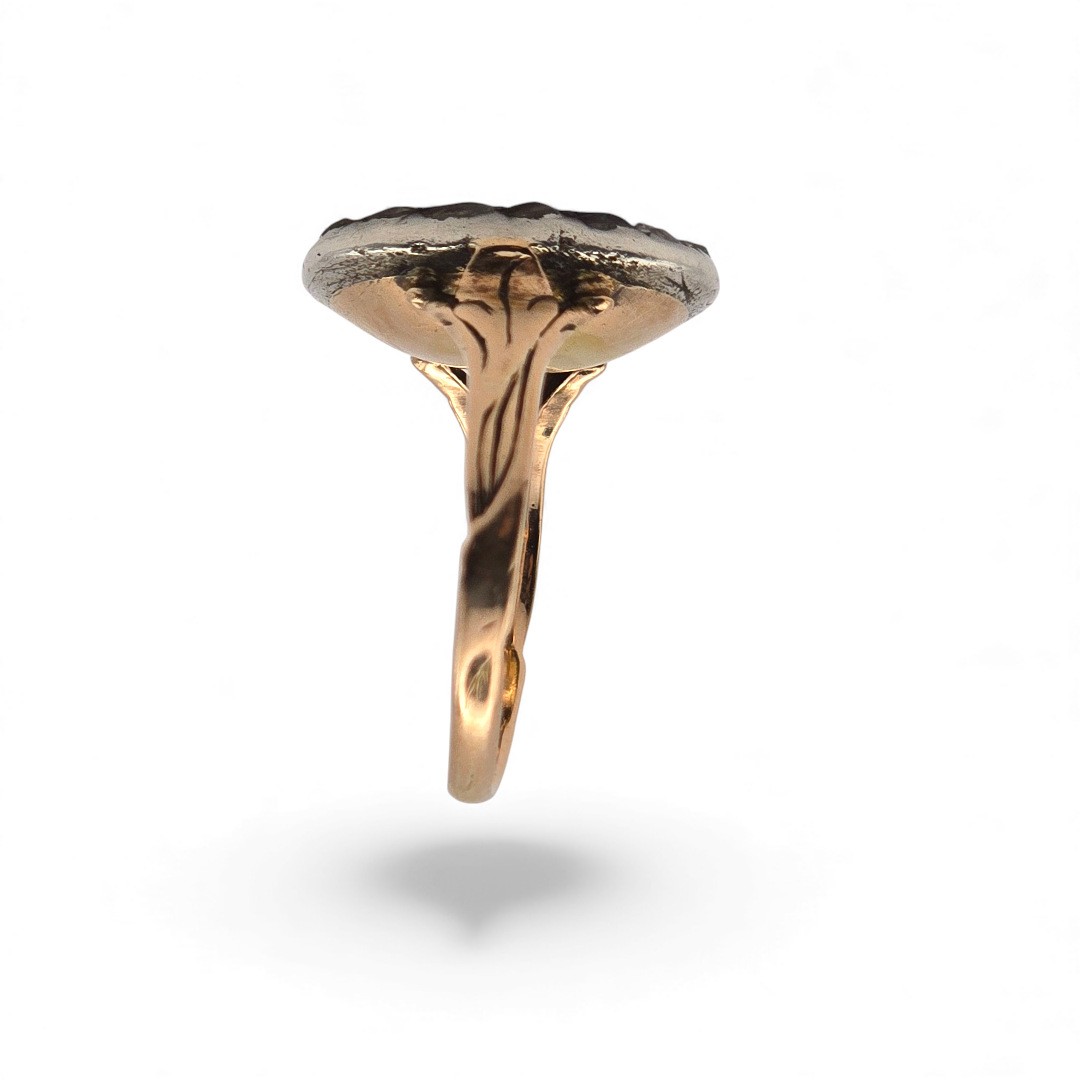 a3962 e-Photoroom.png