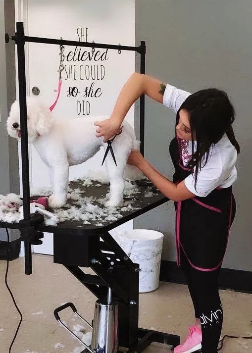 Services — Ruff to Fluff