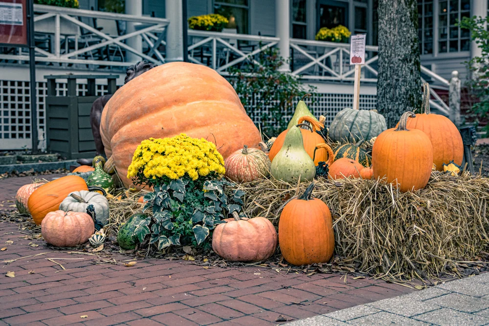 Beautiful Fall Display at the Red Lion Inn