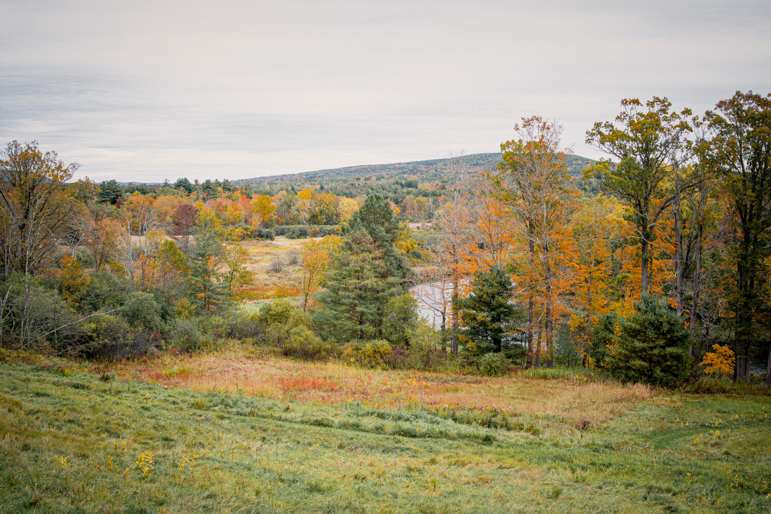 BarnaRoadPhotography-StockbridgeMA-32.jpg