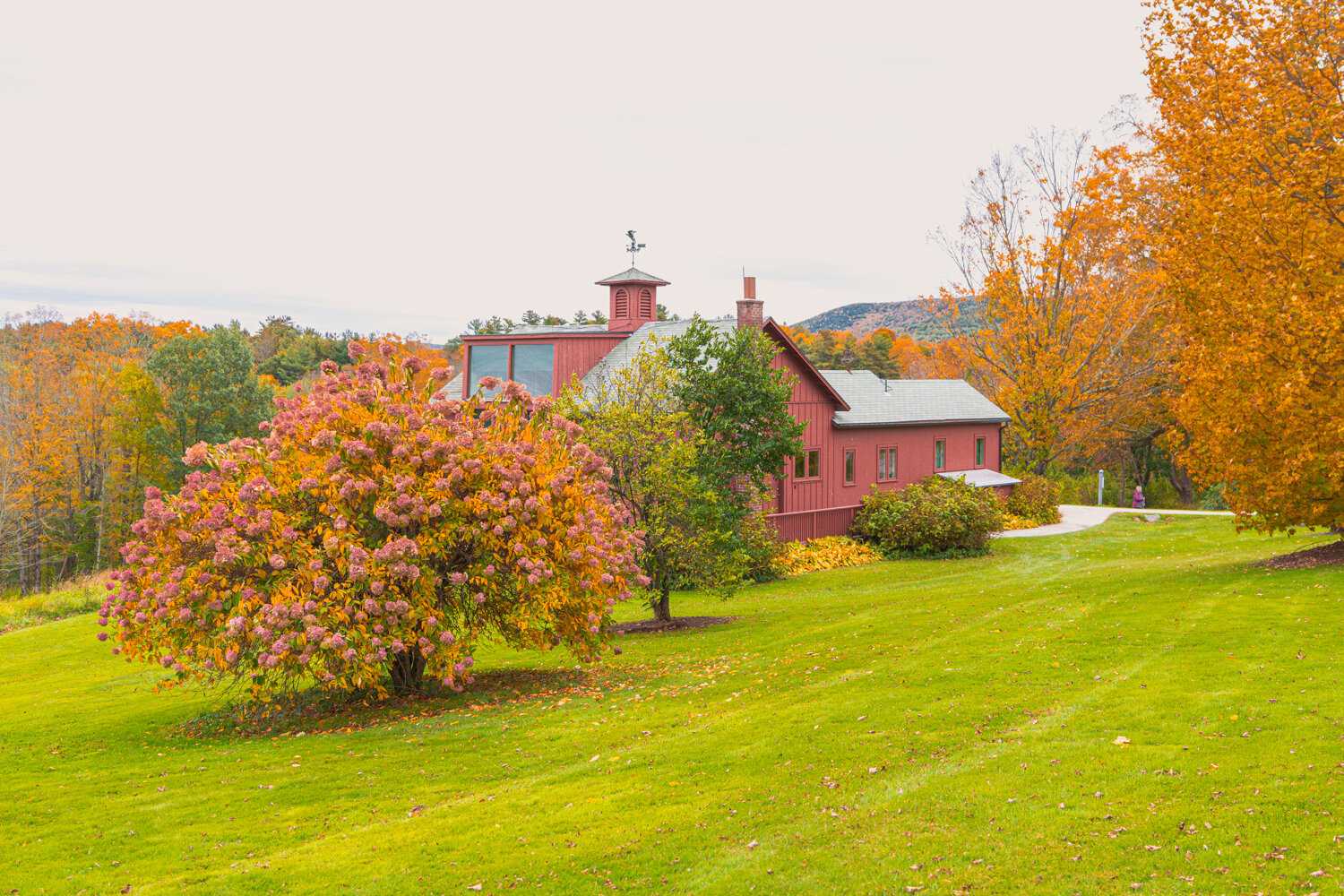 BarnaRoadPhotography-StockbridgeMA-33.jpg