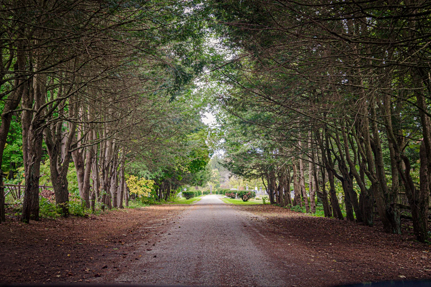 My Sunday Drive Bucket List