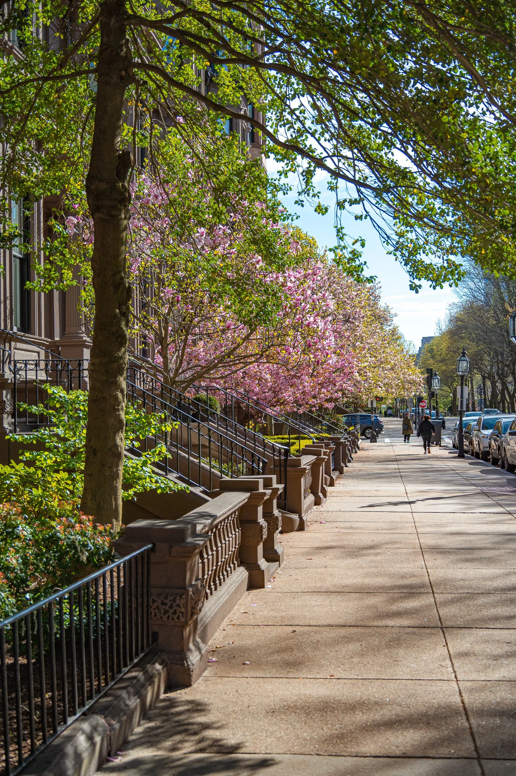 barna-road-BackBay-Boston-Spring-11.jpg