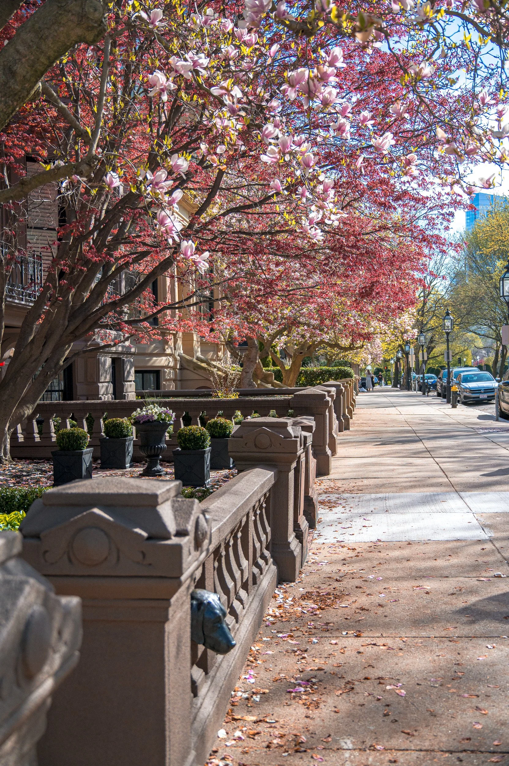 barna-road-BackBay-Boston-Spring-20.jpg