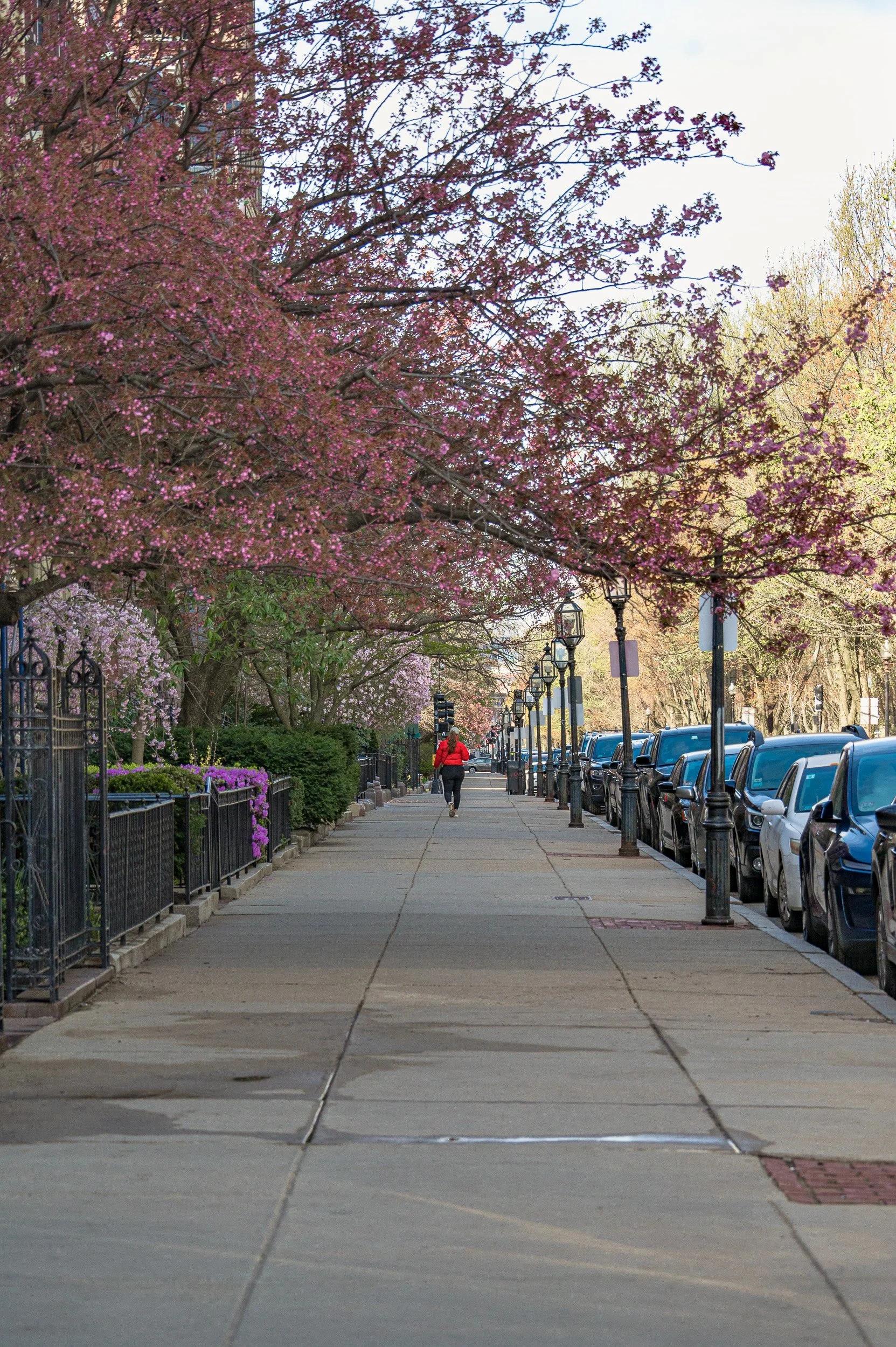 barna-road-BackBay-Boston-Spring-25.jpg