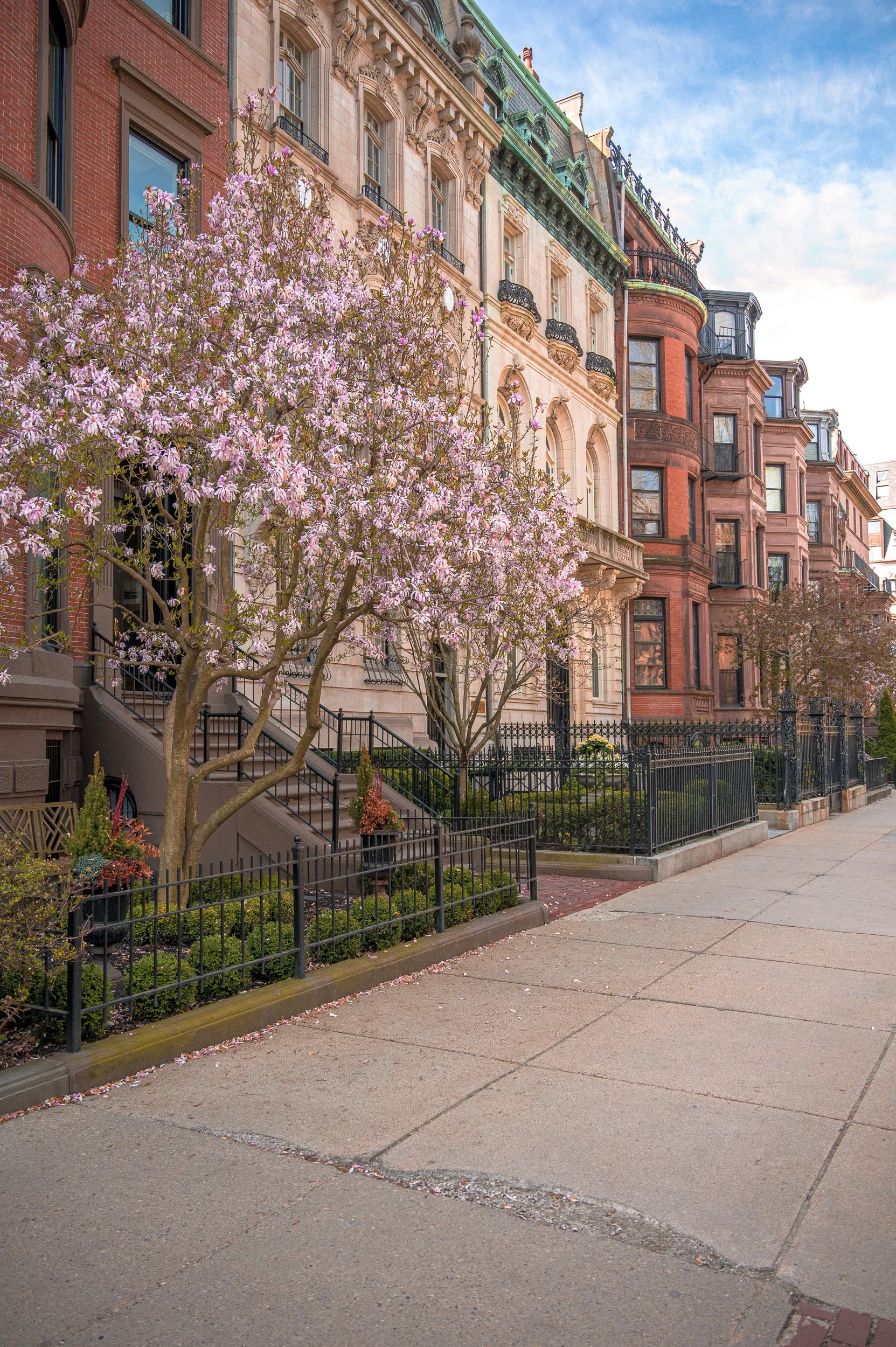 barna-road-BackBay-Boston-Spring-31.jpg
