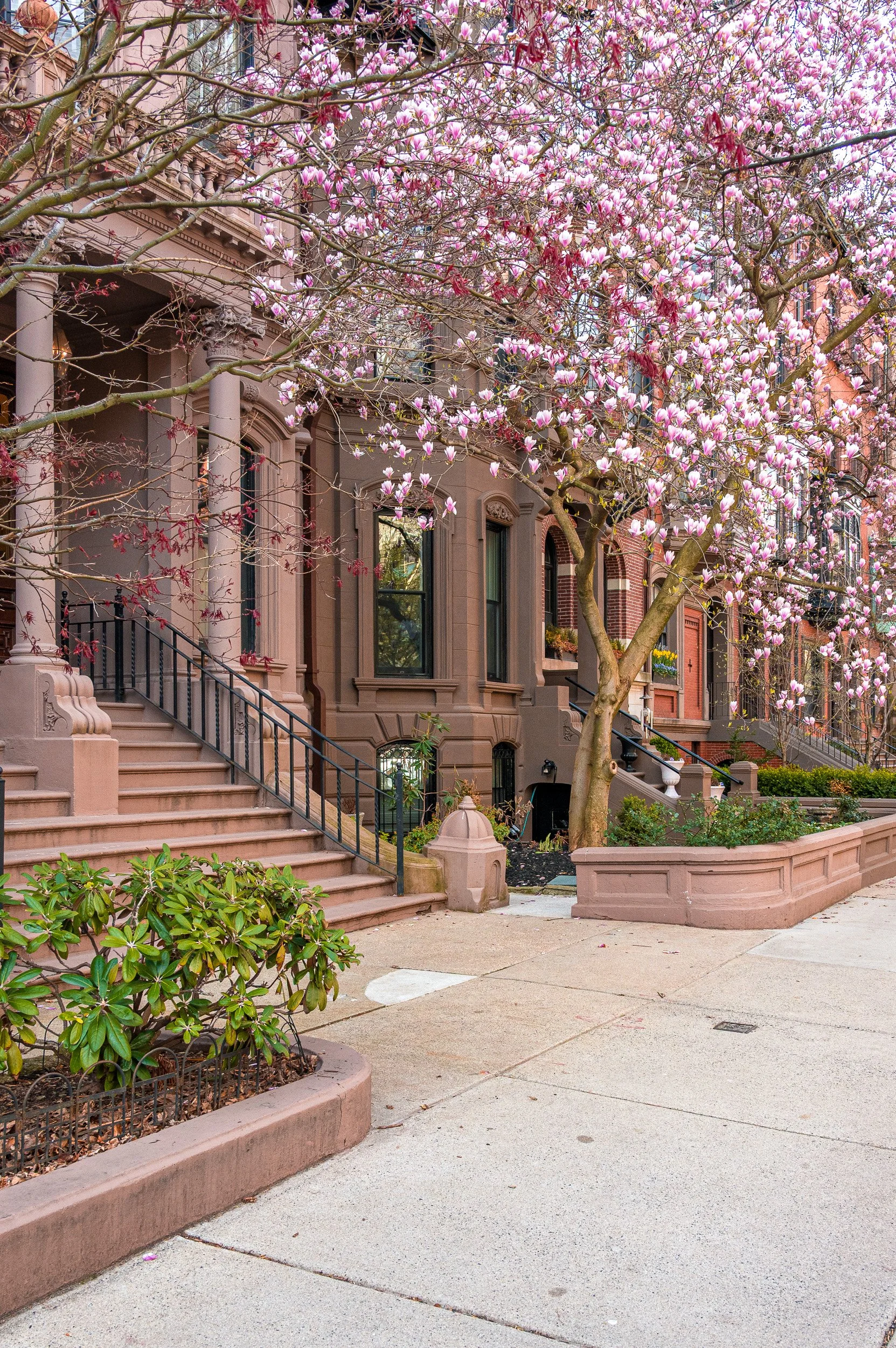 barna-road-BackBay-Boston-Spring-43.jpg