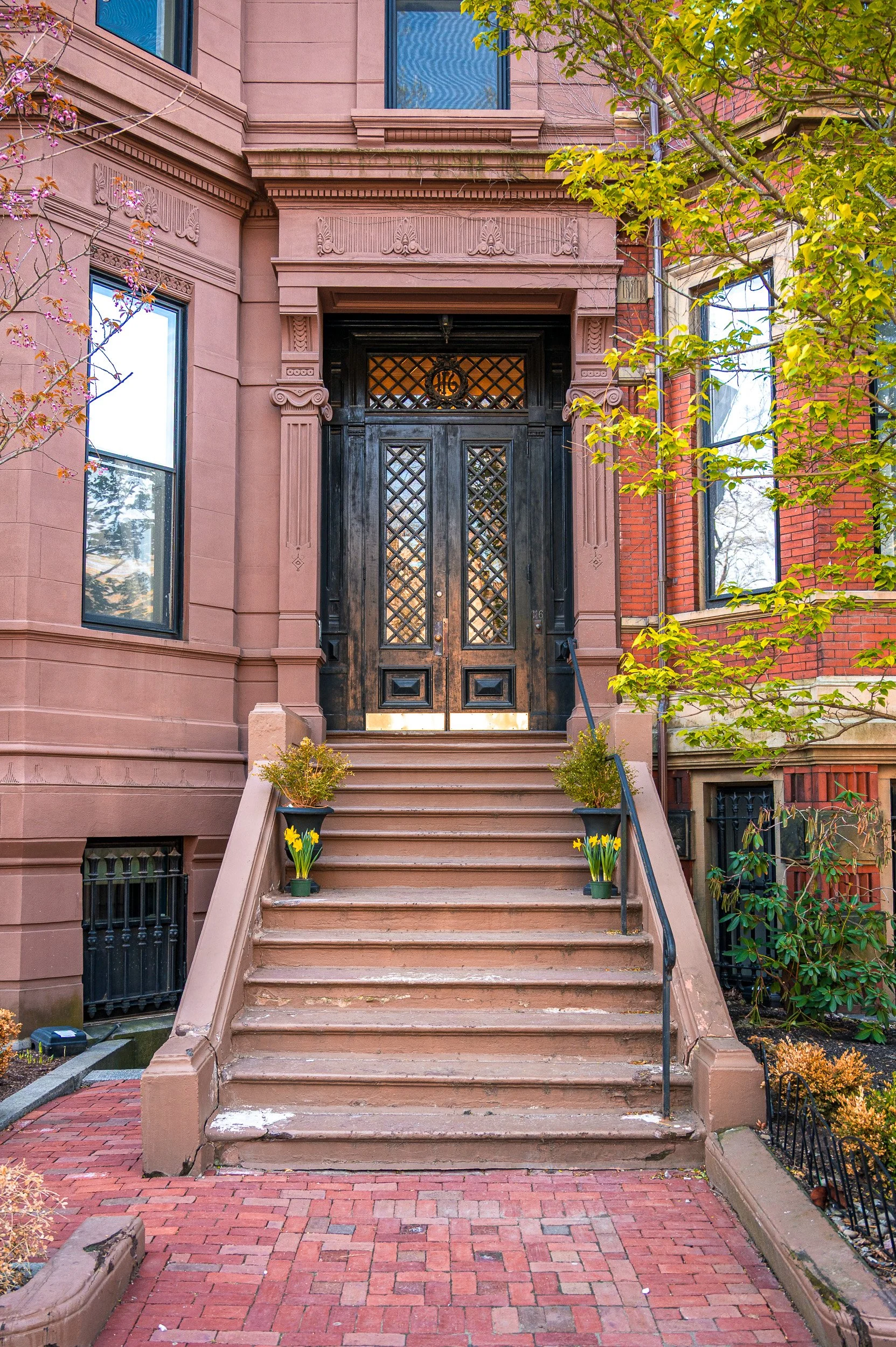 Back Bay Doors No. 116, Boston Daffodil Urns