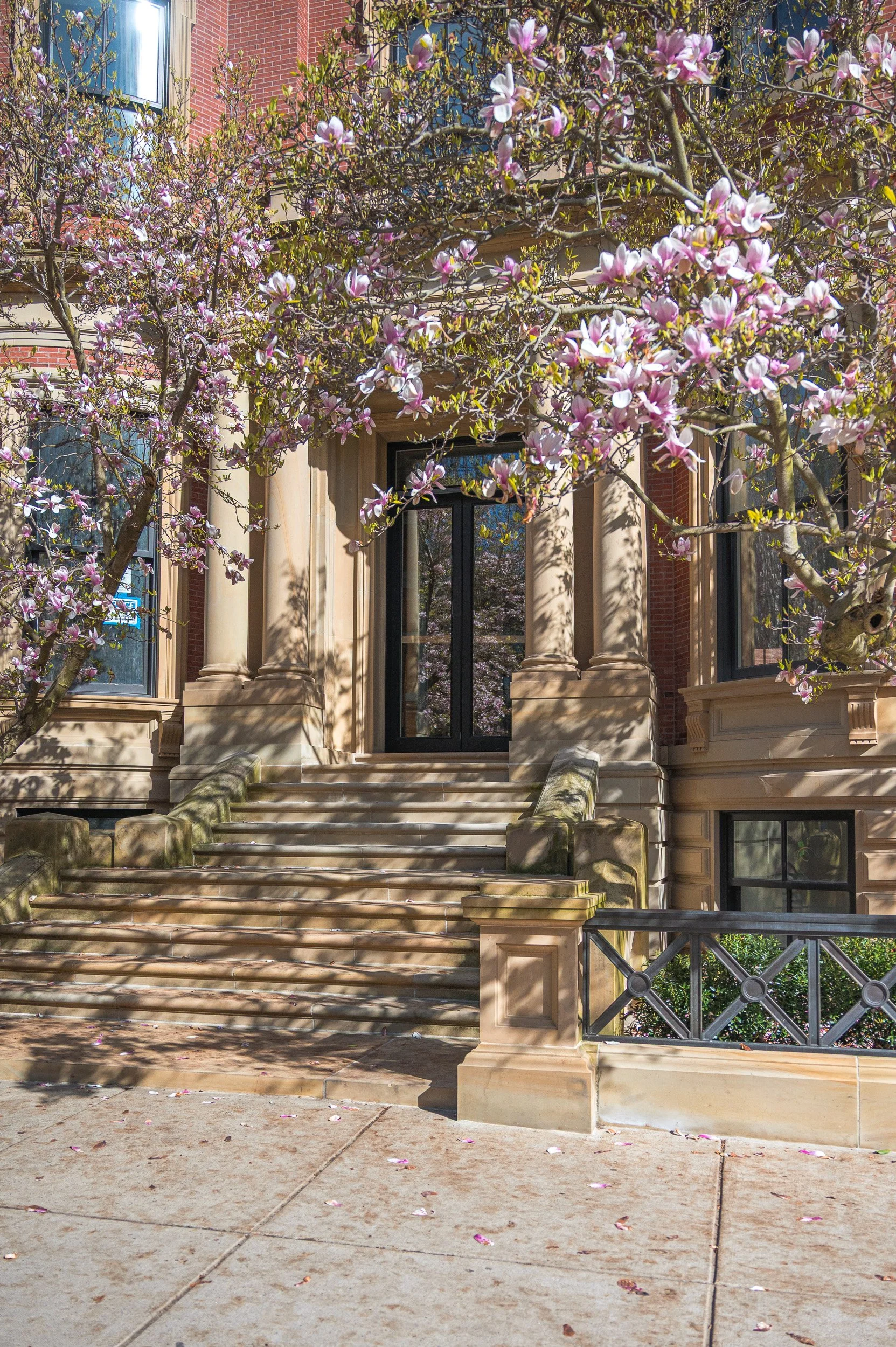 barna-road-BackBay-Boston-Spring-23.jpg