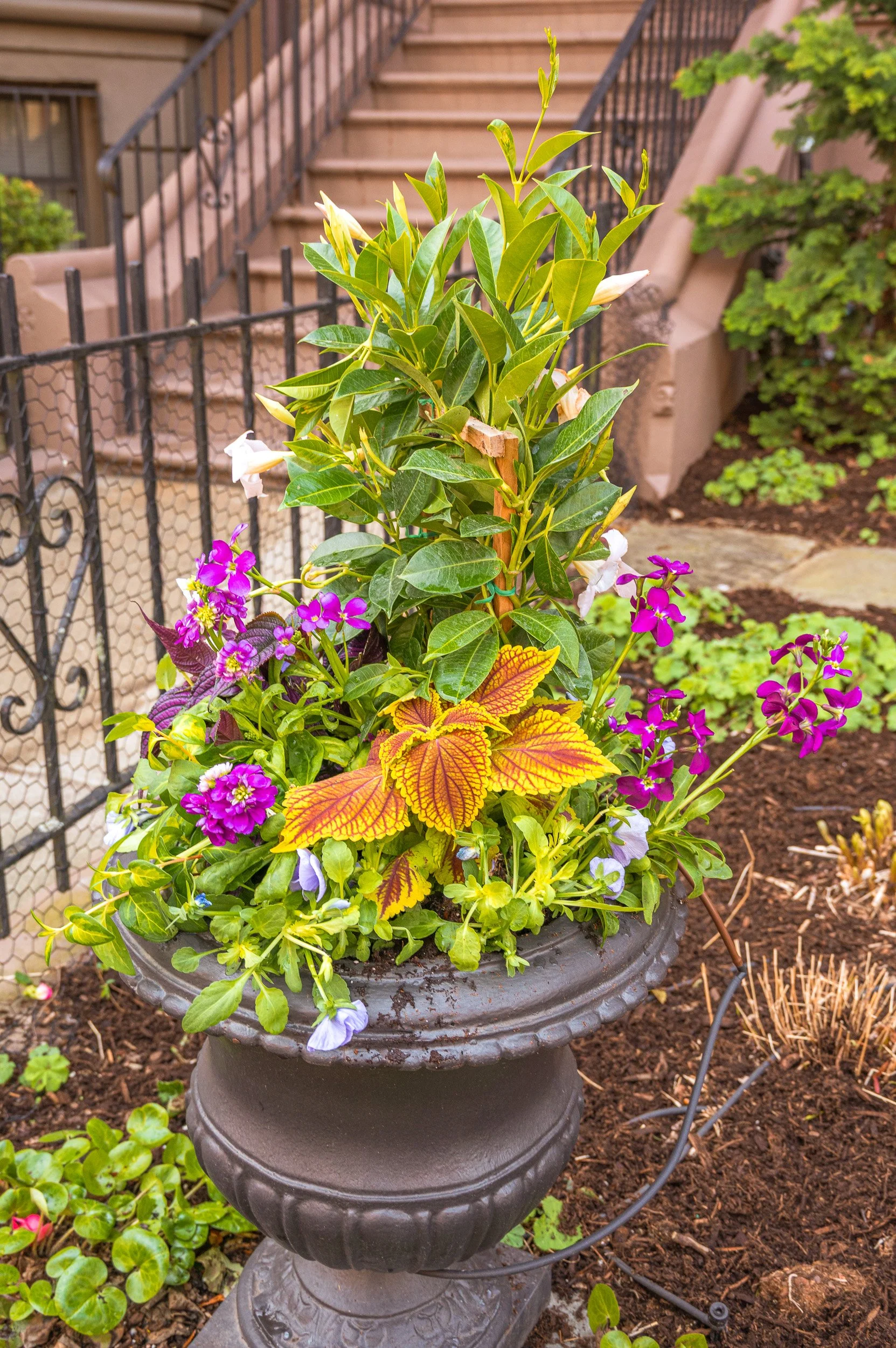 barna-road-BackBay-Boston-Spring-37.jpg